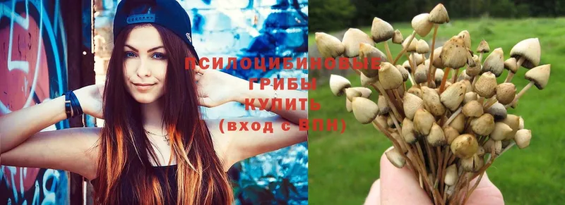 Псилоцибиновые грибы Psilocybine cubensis  наркошоп  Козьмодемьянск 